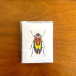 Beetle: Ingenuity, Boxed Blank Note Cards