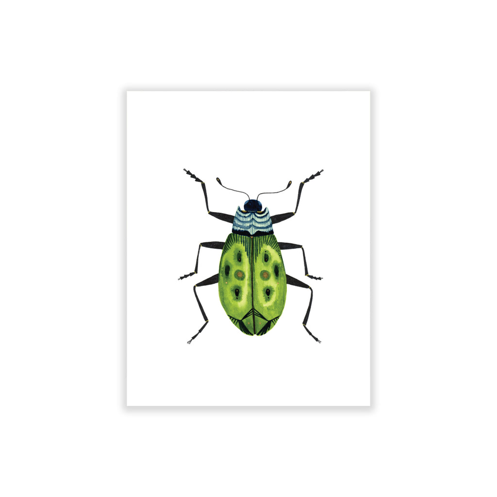 Beetle: Serenity, Boxed Blank Note Cards
