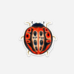 Beetle/Ladybug: Courage, Die-cut Vinyl Sticker
