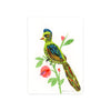 Bird on Flower /  handmade full size card