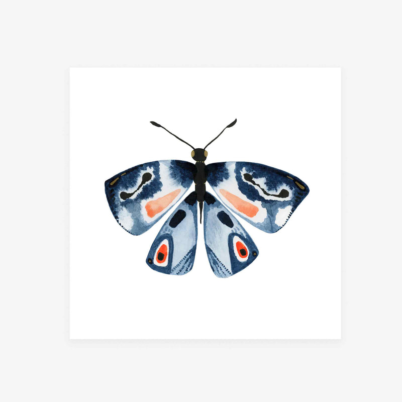 Ambition: Butterfly Art Print
