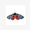 Tiger Moth: Integrity  / Art Print