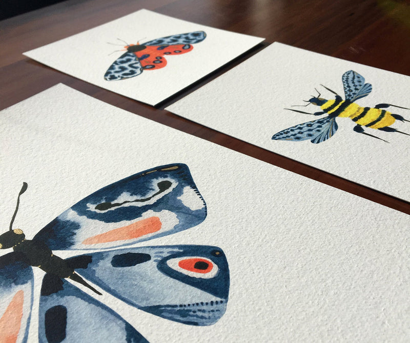 Tiger Moth: Integrity  / Art Print