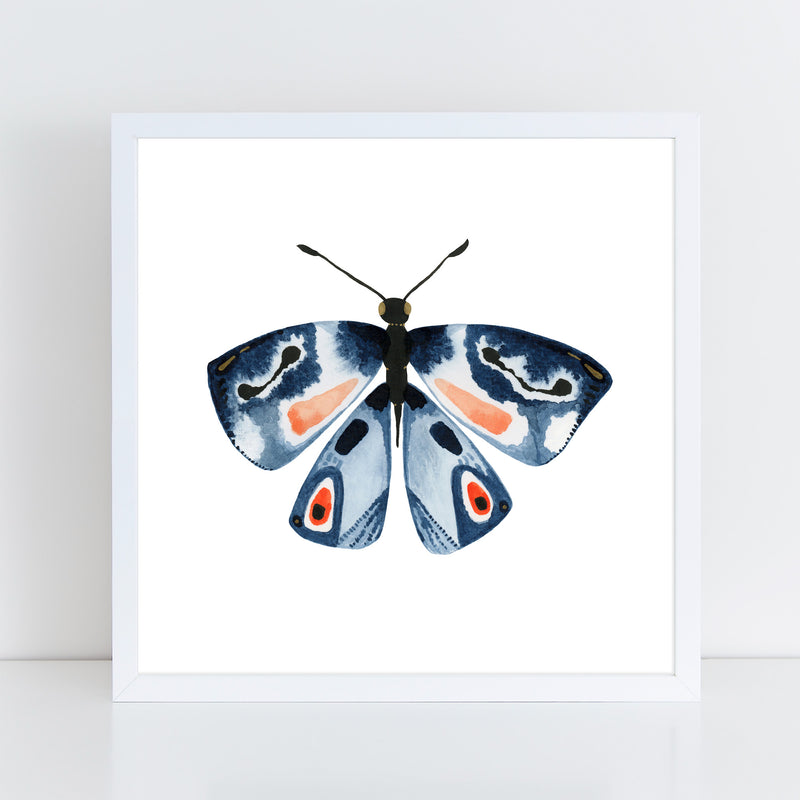 Butterfly: Ambition / Art Print