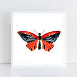 Butterfly: Beauty / Art Print