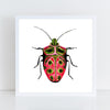 Beetle: Passion / Art Print