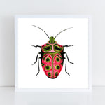 Beetle: Passion / Art Print