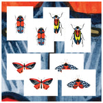 Bugs & Butterflies: Series 1 / Boxed Set of 8 Note Cards, 2 each of 4 designs