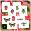 Bugs & Butterflies: Series 2, Boxed Set of 8 Note Cards, 2 each of 4 designs