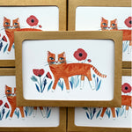 New! Orange Kitty with Poppies / Boxed Blank Note Cards