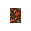 New! Autumn Leaves / Boxed Blank Note Cards