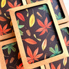 New! Autumn Leaves / Boxed Blank Note Cards