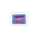 New! Purple Sardines / Boxed Note Cards