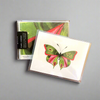 Butterfly: Compassion, Boxed Blank Note Cards