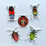 New! Set of 5 Individual Beetle Stickers