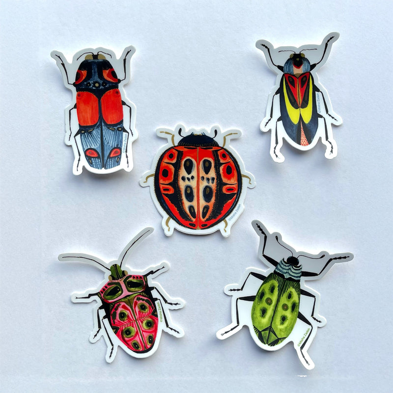 New! Set of 5 Individual Beetle Stickers