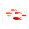 Red Fish / Blank Note Cards