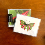 Butterfly: Compassion, Boxed Blank Note Cards