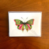 Butterfly: Compassion, Boxed Blank Note Cards