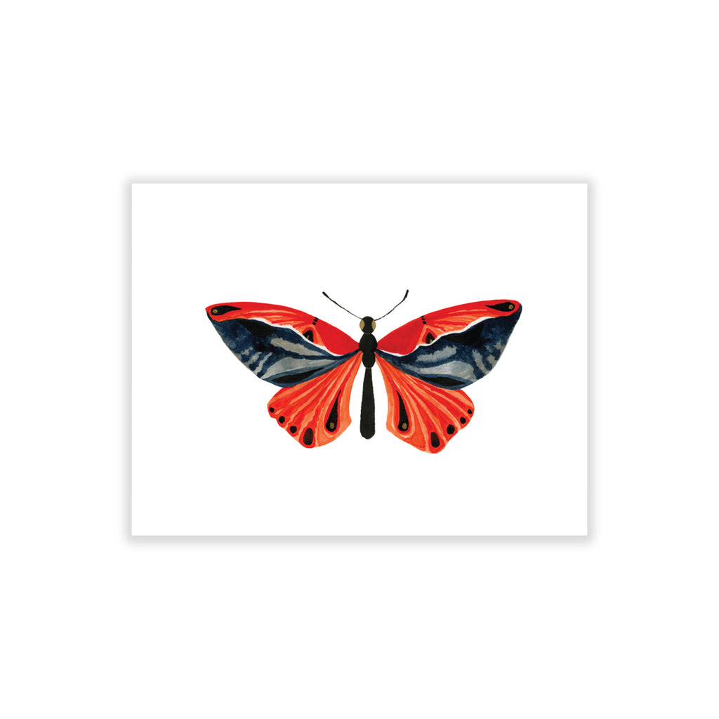 Butterfly: Beauty, Boxed Blank Note Cards