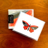 Butterfly: Beauty, Boxed Blank Note Cards