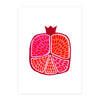 New! Pomegranate Pride / Boxed Note Cards