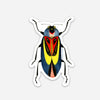 New! Set of 5 Individual Beetle Stickers