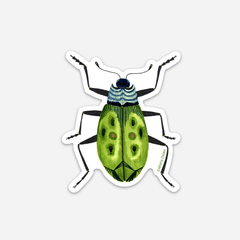 New! Set of 5 Individual Beetle Stickers