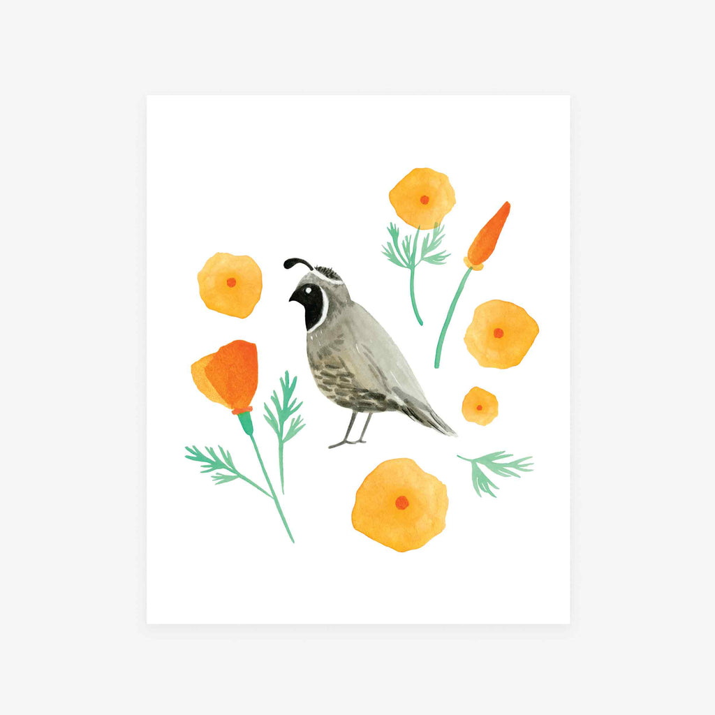 Watercolor artwork featuring a quail centered among giant orange California Poppies. By Seattle artist Misha Zadeh