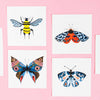 Misha Zadeh Entomology Series Butterflies and Bumblebee prints on pink